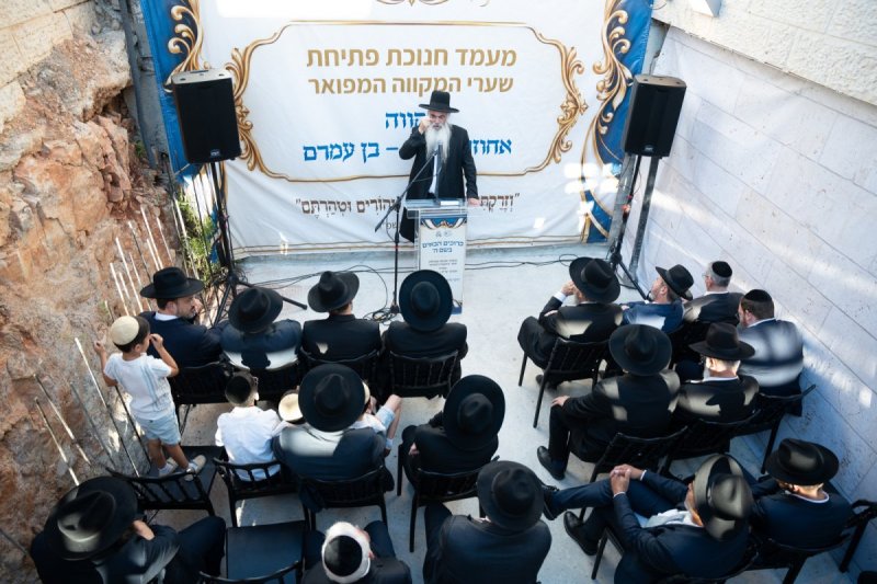 שמואל אריה