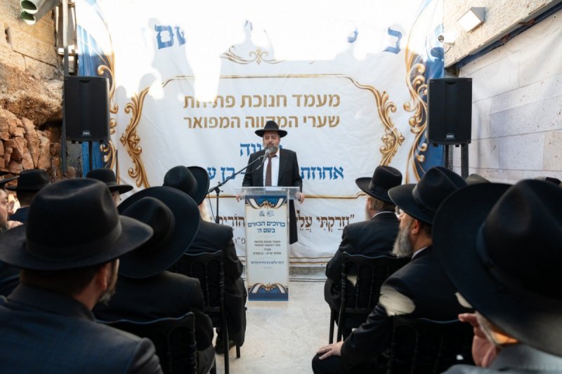 שמואל אריה