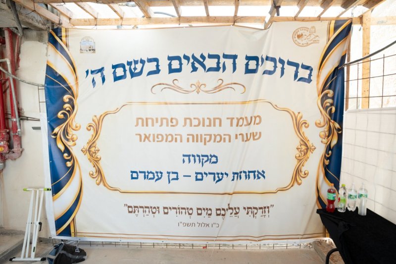 שמואל אריה