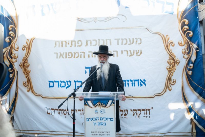 שמואל אריה