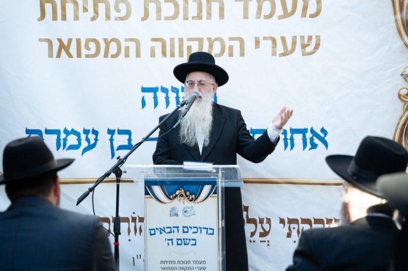 שמואל אריה