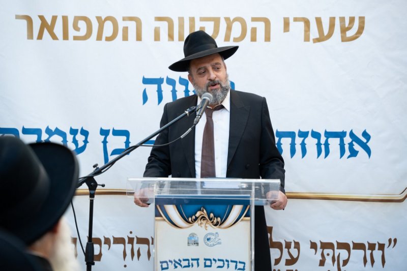 שמואל אריה