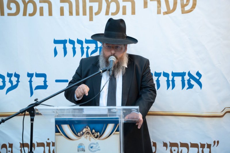 שמואל אריה