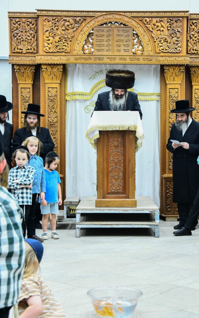 שוקי לרר