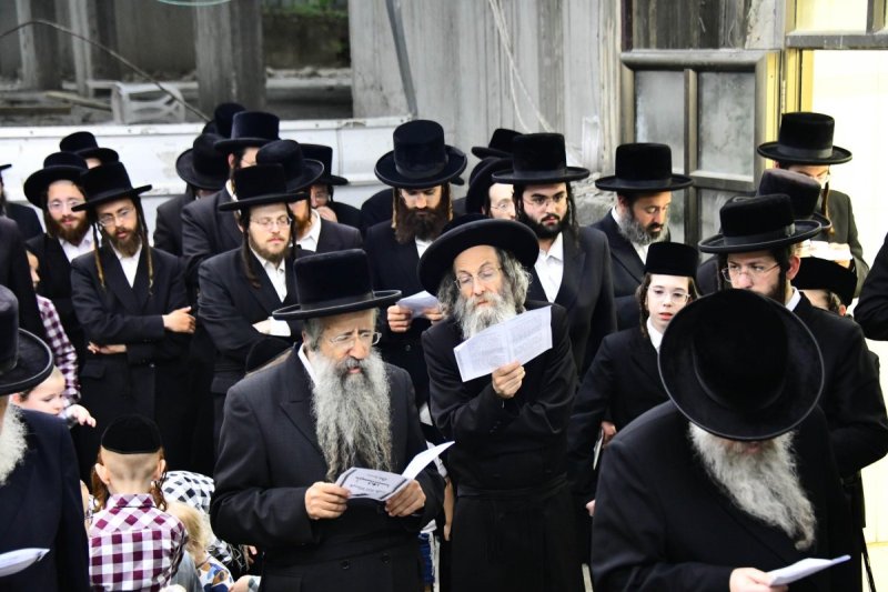 שוקי לרר