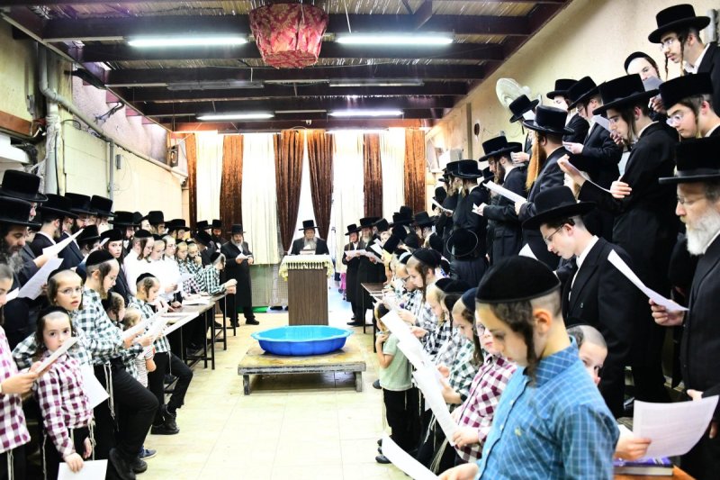 שוקי לרר