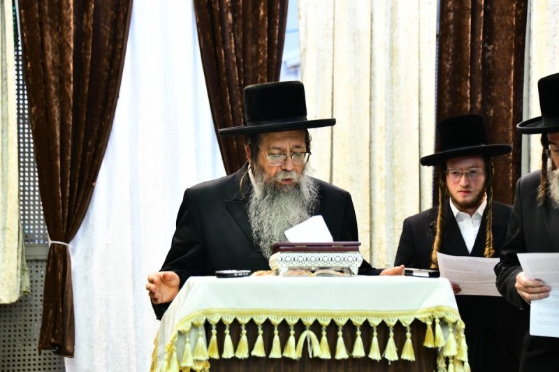 שוקי לרר