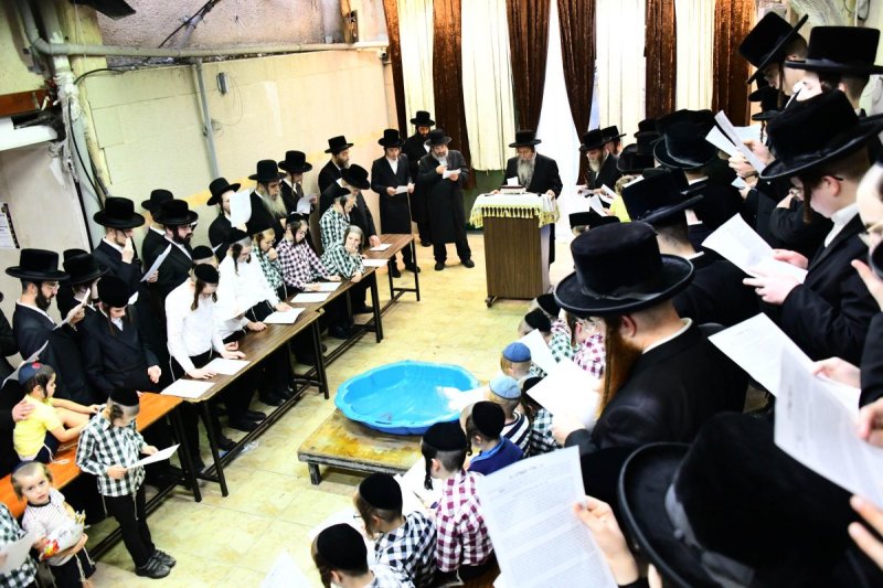 שוקי לרר