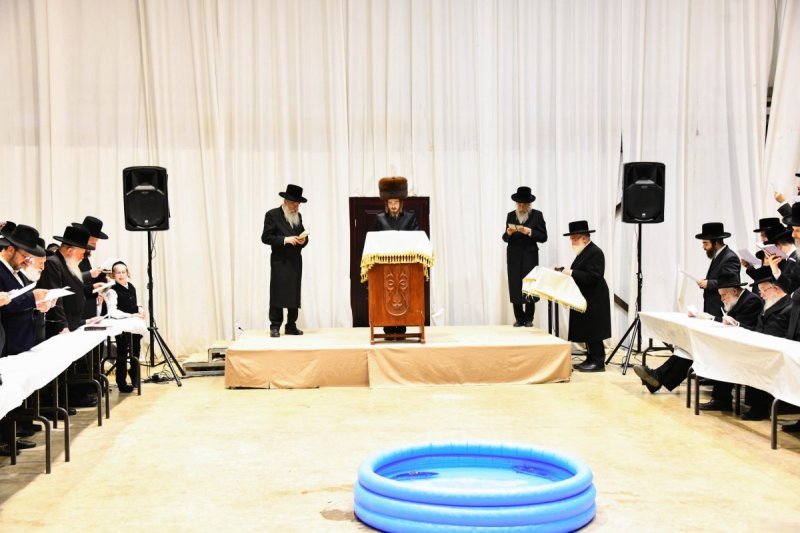 שוקי לרר