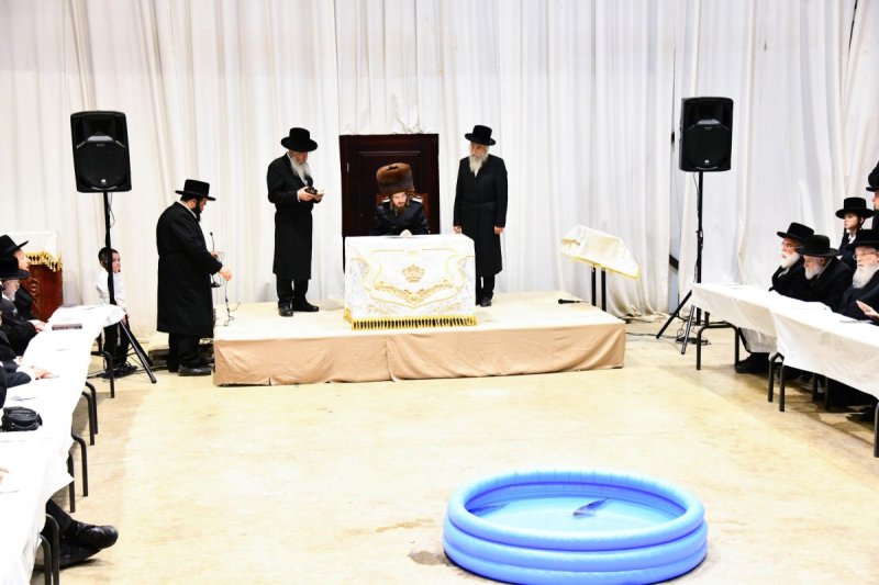 שוקי לרר