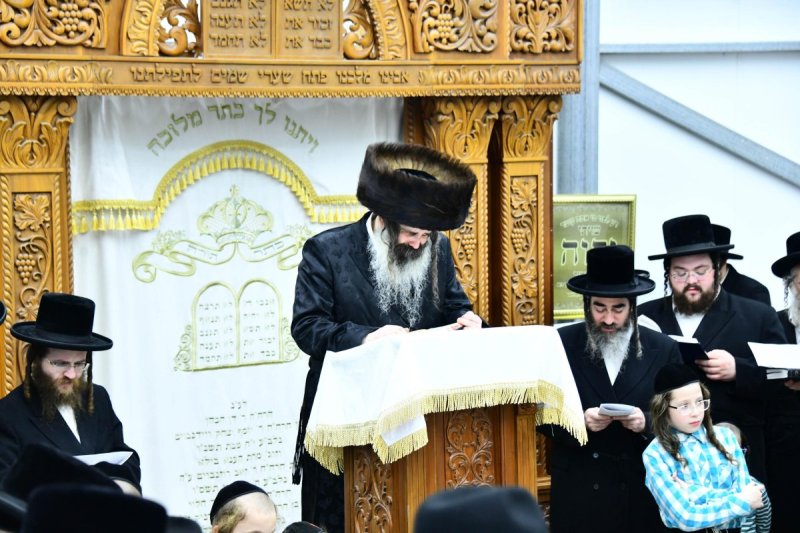 שוקי לרר