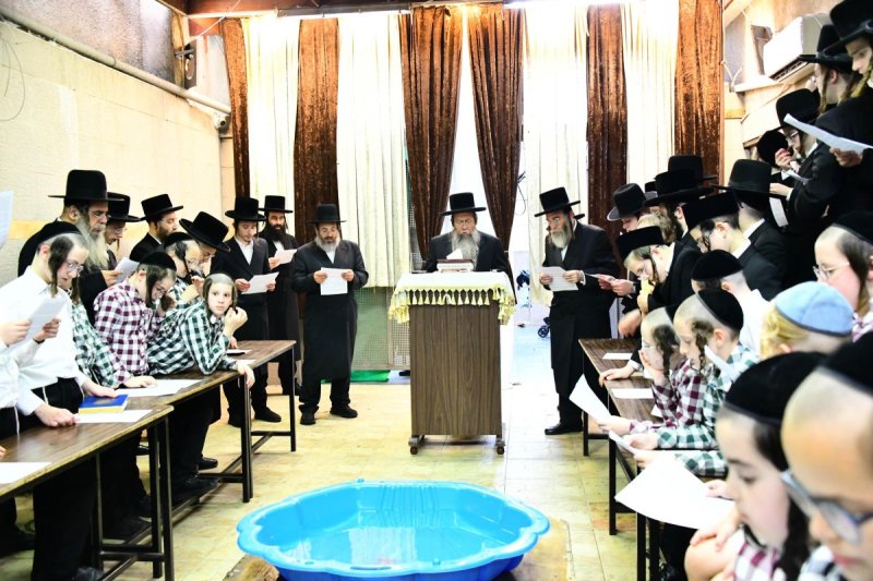 שוקי לרר