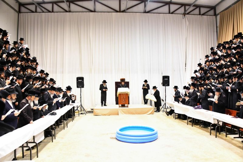 שוקי לרר