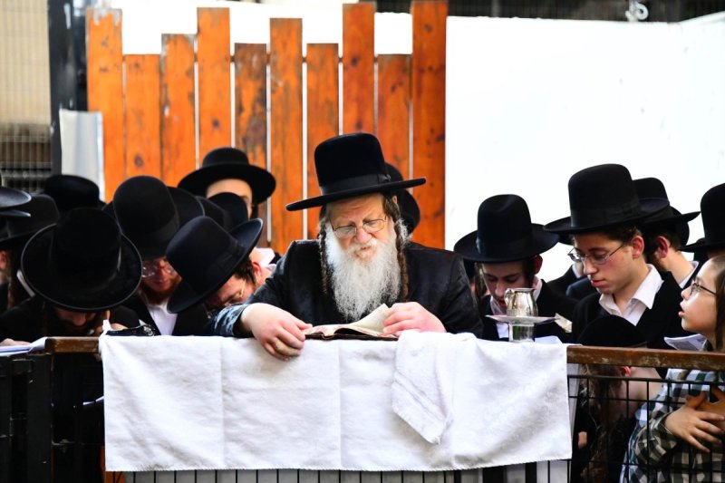 שוקי לרר