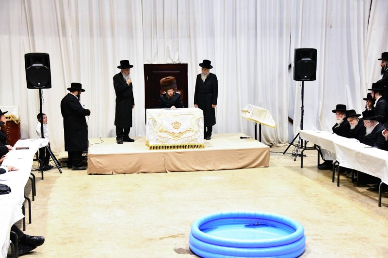 שוקי לרר