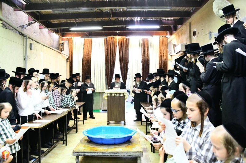 שוקי לרר