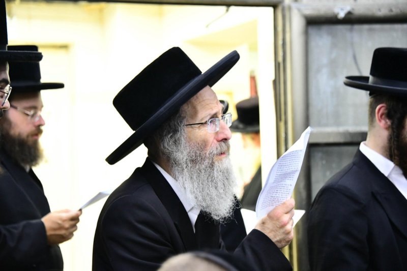 שוקי לרר