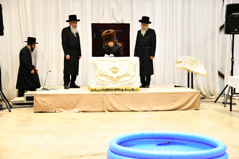 שוקי לרר