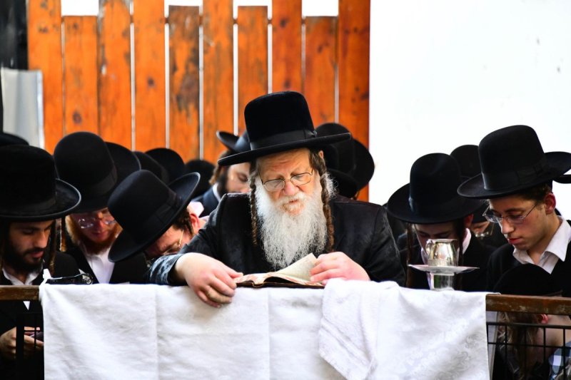 שוקי לרר