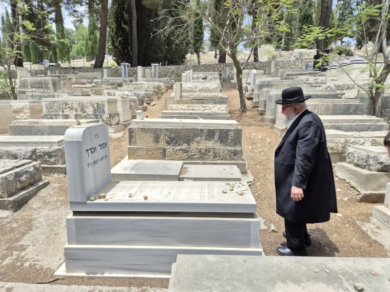דניאל צרפתי