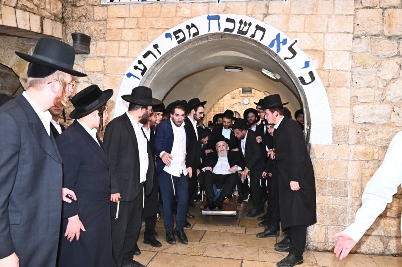 שוקי לרר