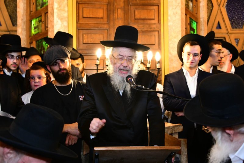 שוקי לרר
