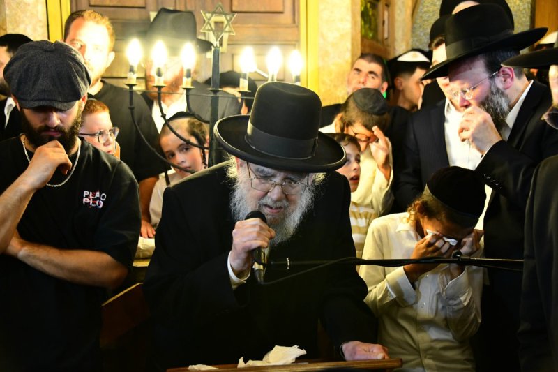 שוקי לרר