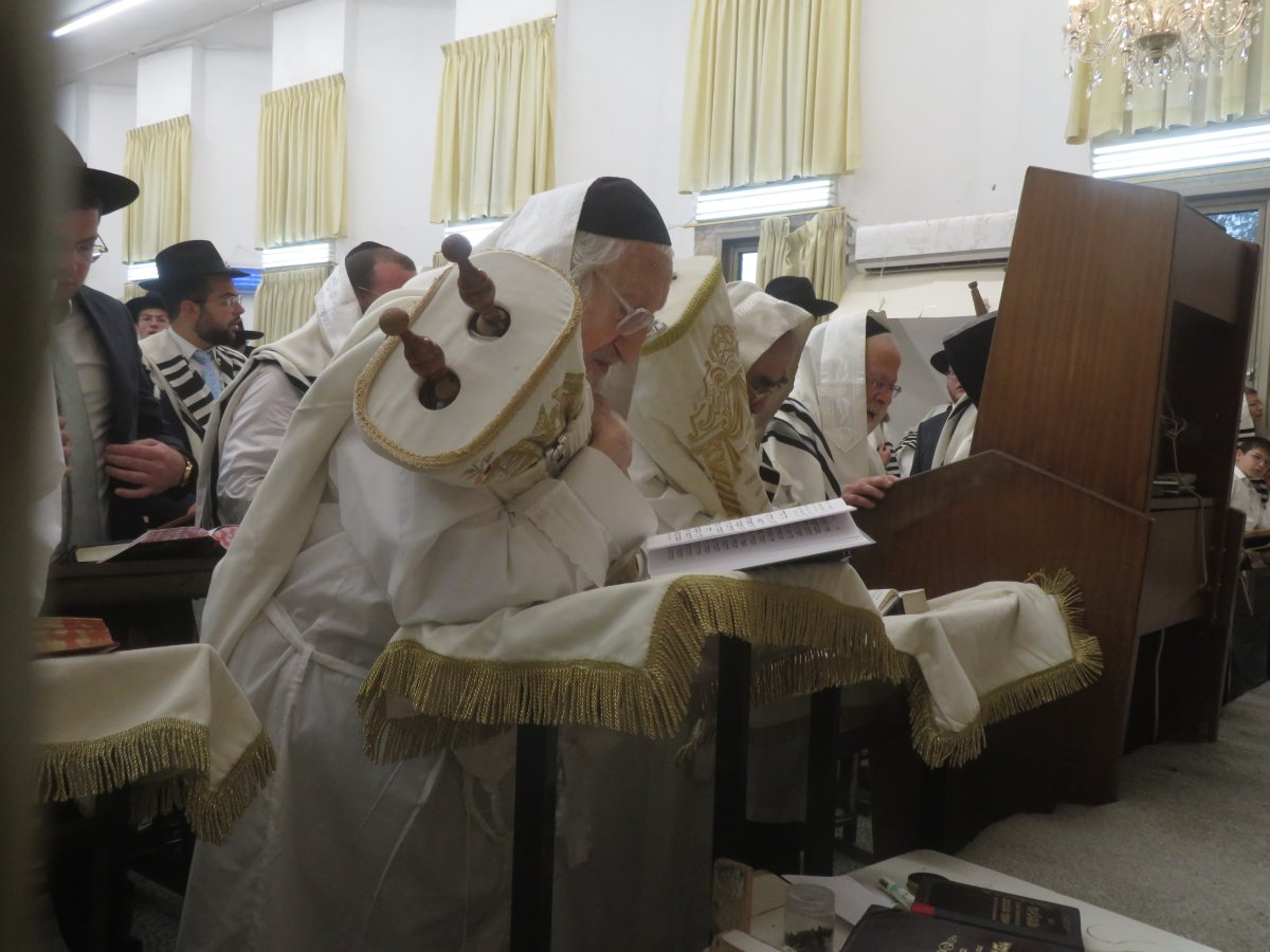באדיבות המצלם