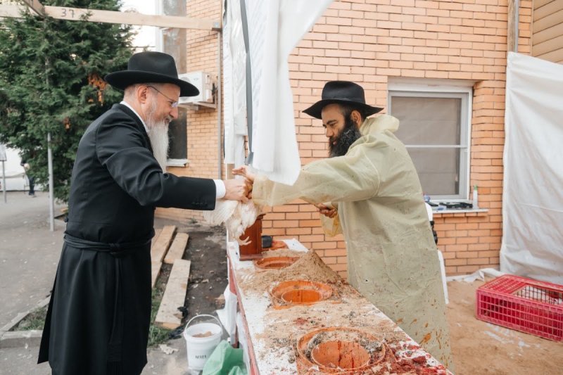 לוי נאזרוב