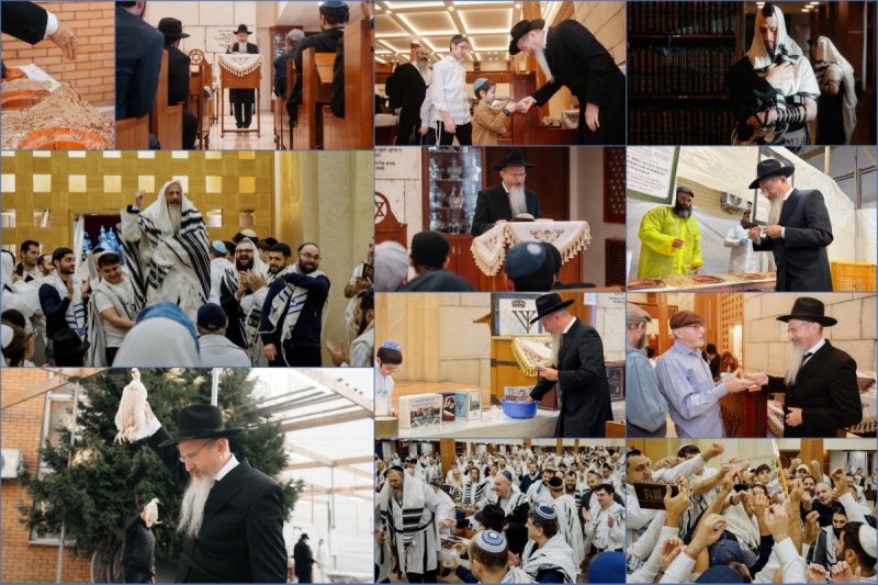 לוי נאזרוב