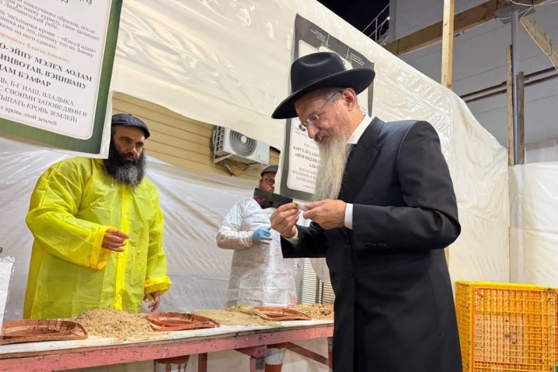 לוי נאזרוב