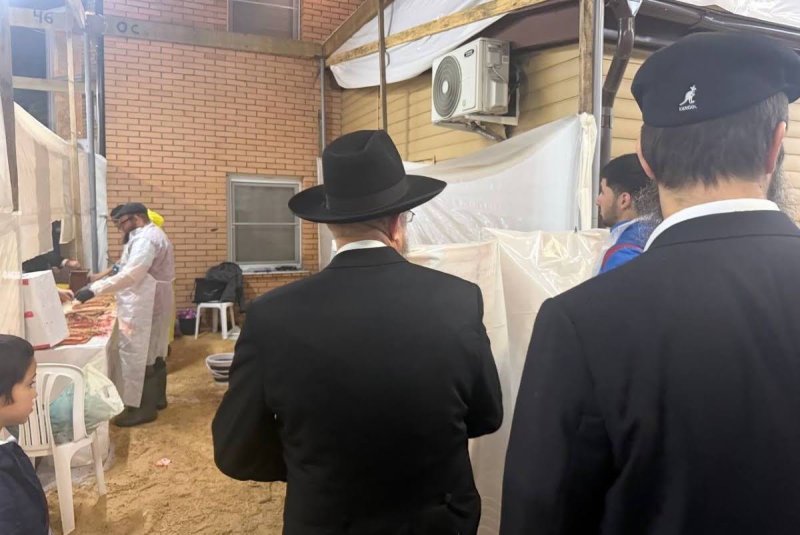 לוי נאזרוב