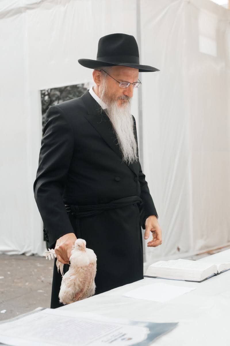 לוי נאזרוב