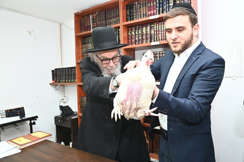 שוקי לרר