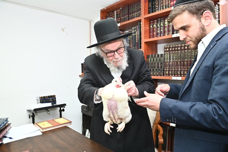 שוקי לרר