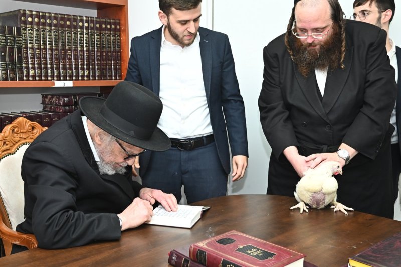 שוקי לרר
