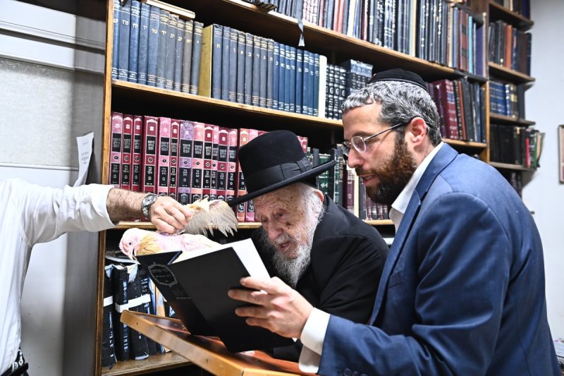 שוקי לרר