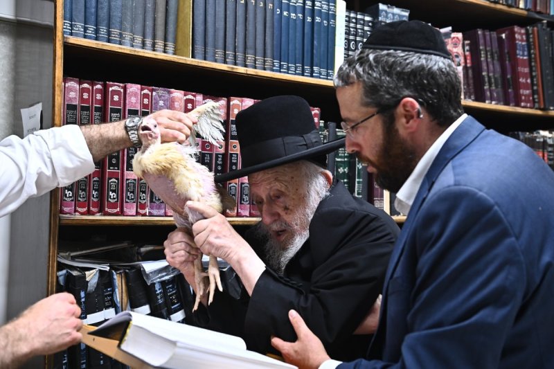 שוקי לרר