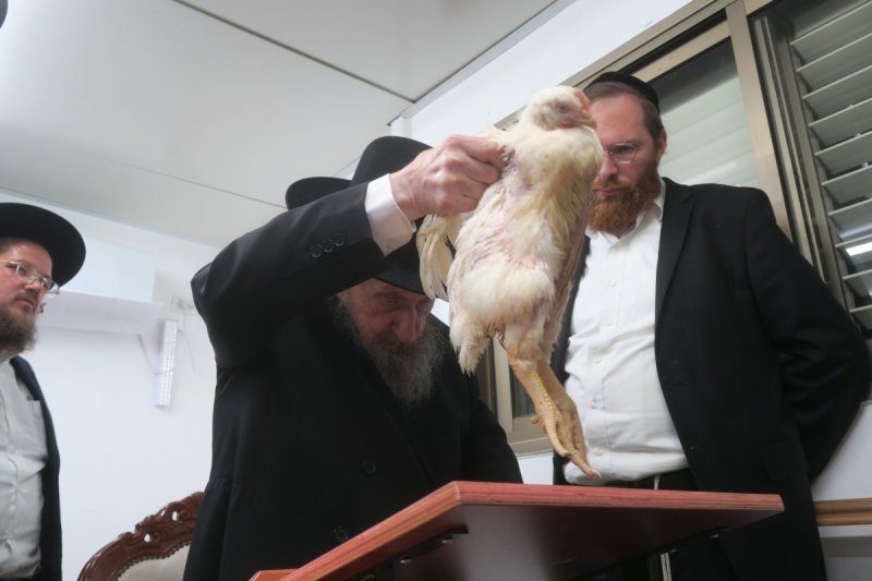 מ. אדלר