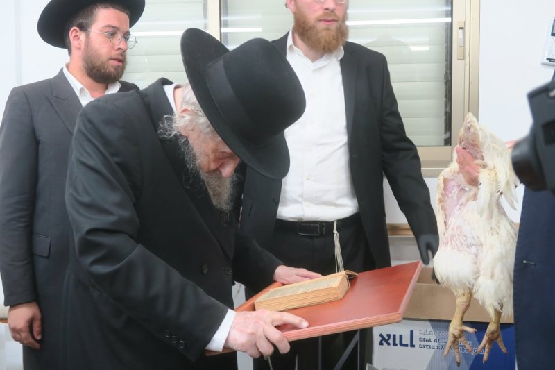 מ. אדלר