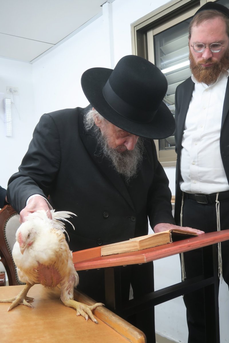 מ. אדלר
