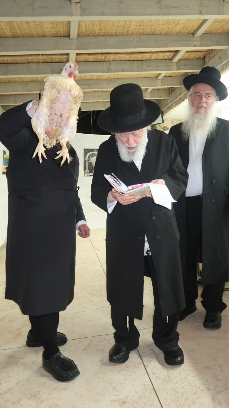 דברי חמד