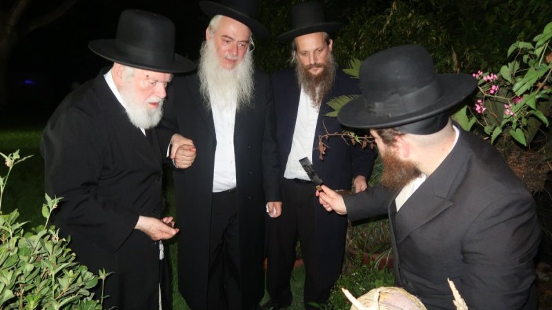 דברי חמד