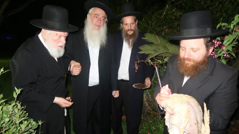 דברי חמד