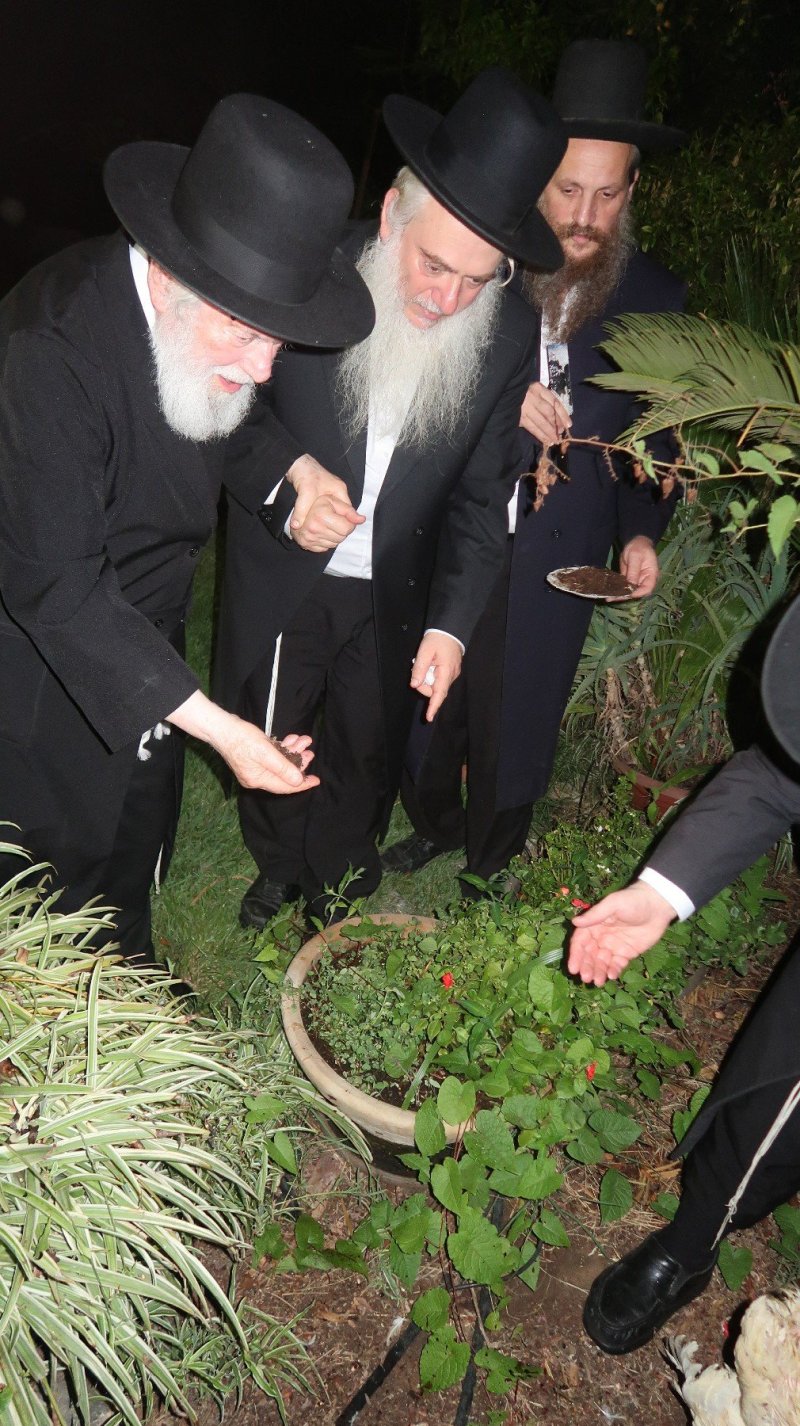 דברי חמד