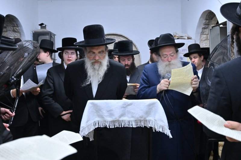 מאיר אדרי