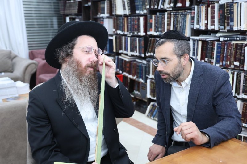 יחצ