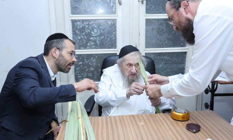 לקראת החג: אלי רוסוף הציג את הלולבים בבתי גדולי ישראל