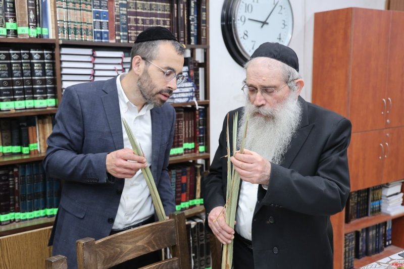 יחצ