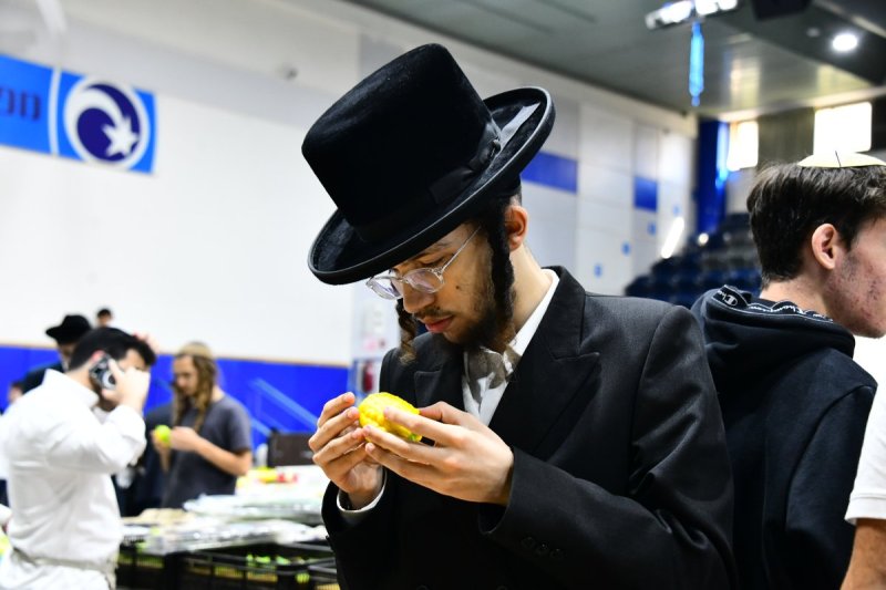 שוקי לרר